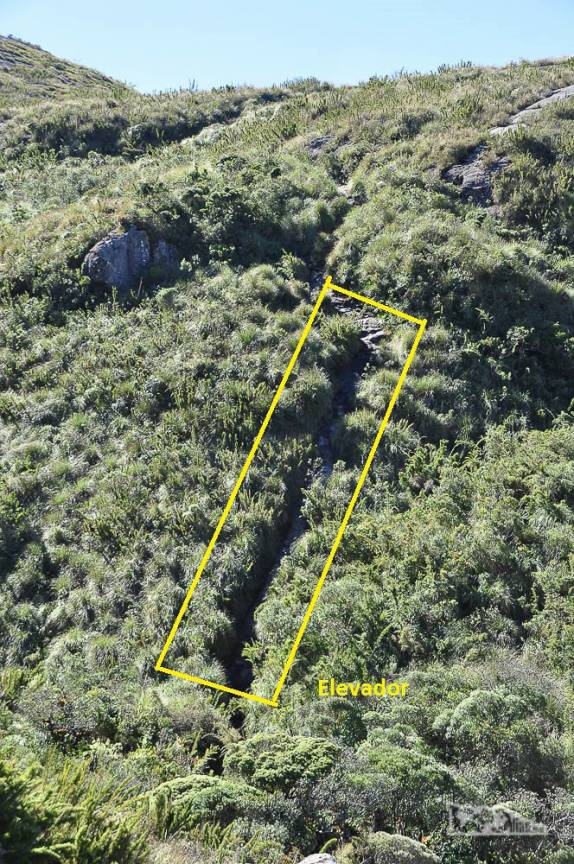 Nossa primeira visão do chamado 'Elevador', um dos trechos mais íngrimes na trilha que atravessa o Parque Nacional da Serra dos Órgãos, no Rio de Janeiro.